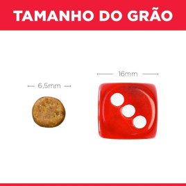 Alimento Ração Hills Felino Diet Para Gatos Filhotes 6Kg