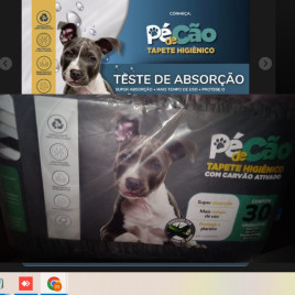 Tapete Higiênico Pé de Cão Carvão De Bambu 80x60cm 30 Unid