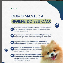 Tapete Higiênico Pé de Cão Carvão De Bambu 80x60cm 30 Unid