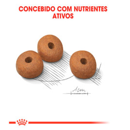 Ração Royal Canin Medium Light Cão Adulto Senior Médio10,1kg